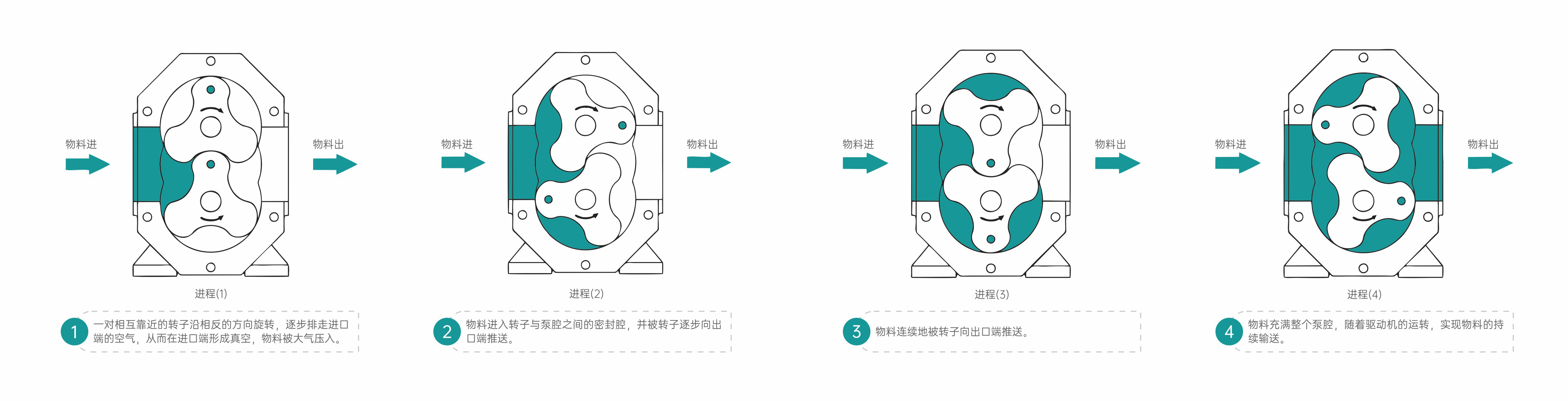 凸輪轉子泵工作原理